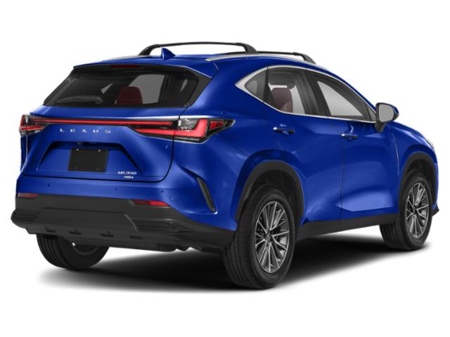 2025 Lexus NX 350 AWD NYC Exterior Back